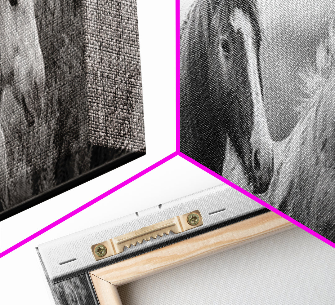 Black and White Wild Horse Portrait Framed Canvas Print, Black and White Art, Gallery Decor, Living Room Decor, Monochrome, BAW-3x1-69