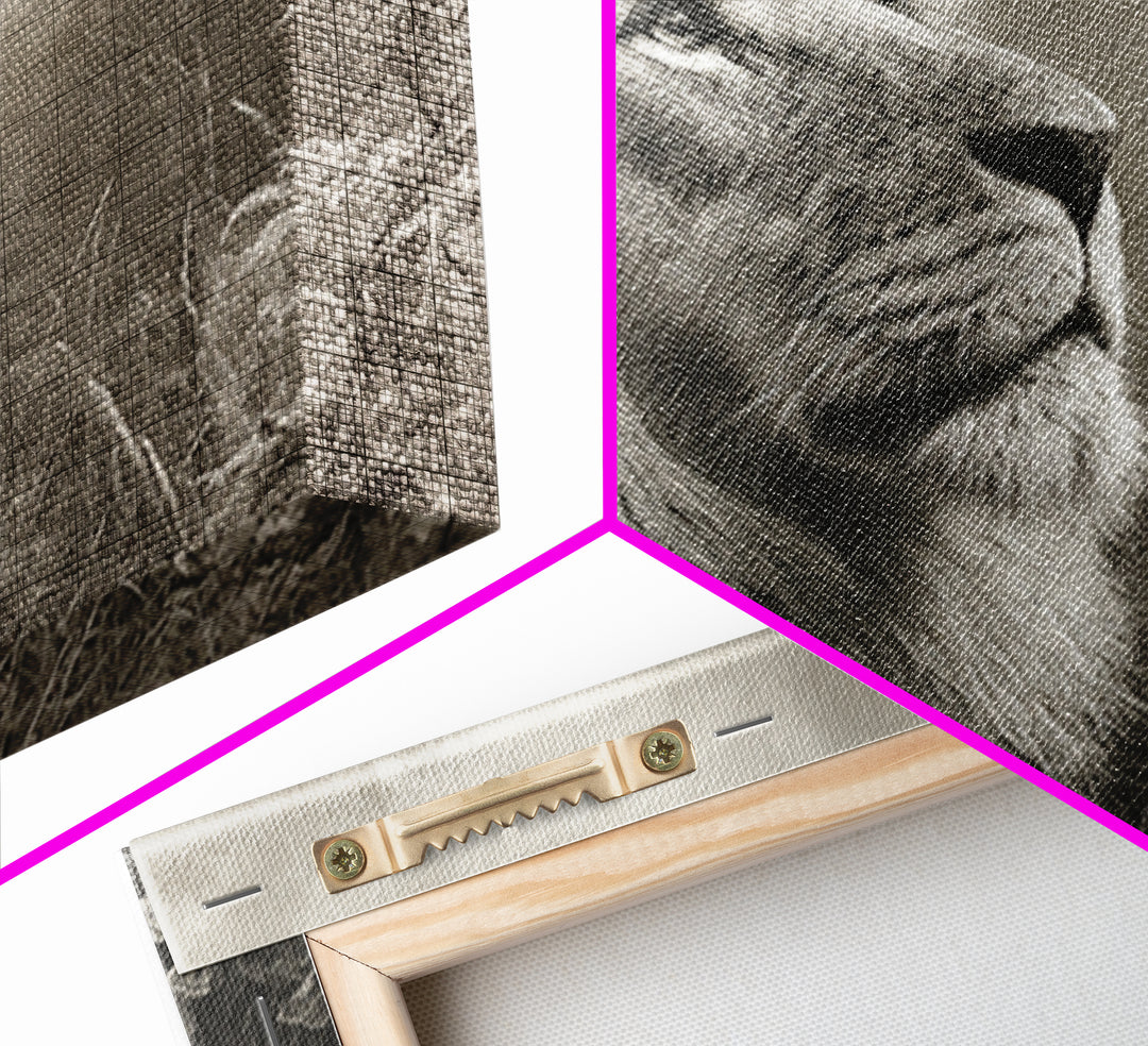 Dramatic Black and White Lion Portrait Framed Canvas Print, Black and White Art, Gallery Decor, Living Room Decor, Monochrome, BAW-3x2-69
