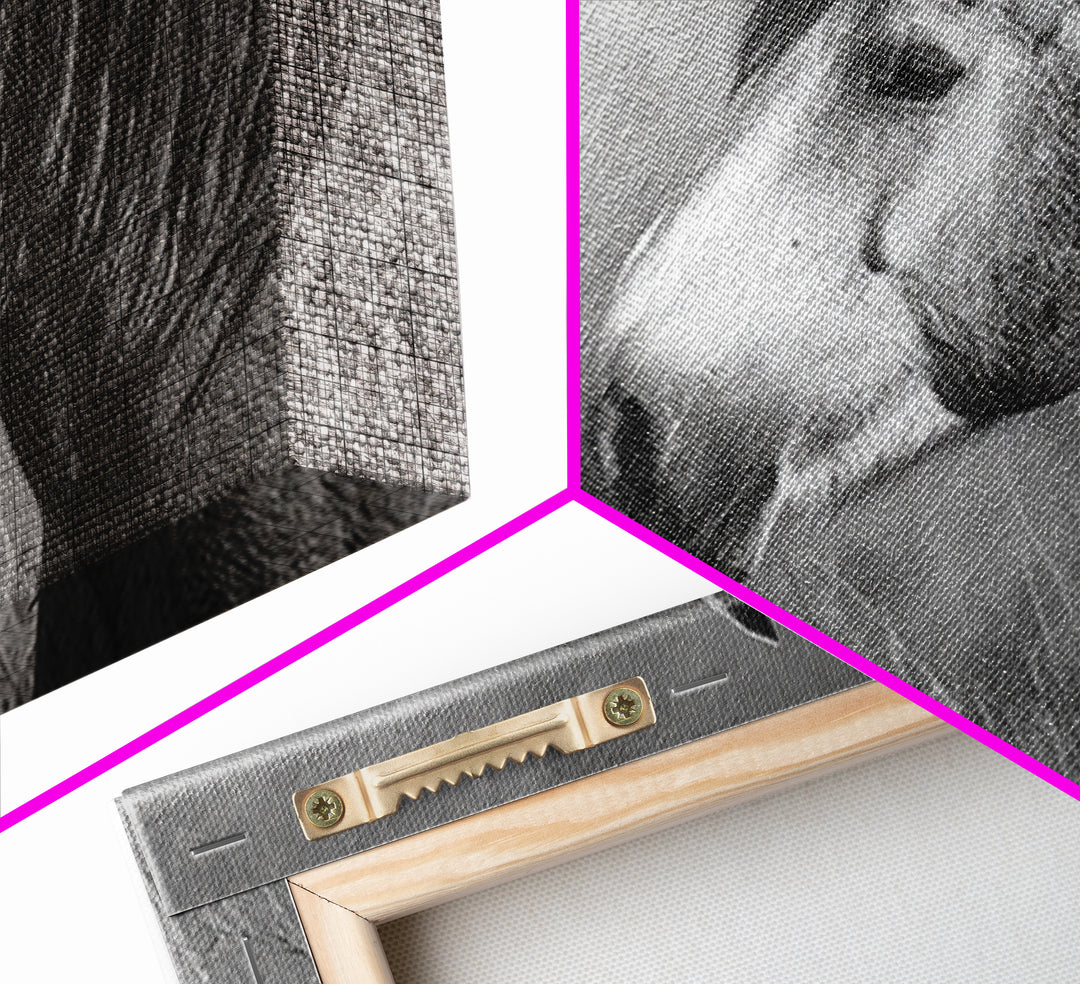 Black and White Wild Horse Portrait Framed Canvas Print, Black and White Art, Canvas Print, Living Room Decor, Monochrome, BAW-3x2-9