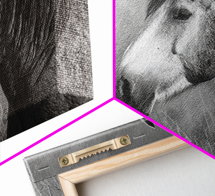Black and White Wild Horse Portrait Framed Canvas Print, Black and White Art, Canvas Print, Living Room Decor, Monochrome, BAW-3x2-9