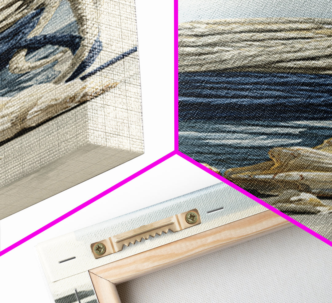 Nautical Rope and Shell Still Life Framed Canvas Print, Beach Art, Modern Decor, Coastal Decor, Fine Art, Shore, Home Decor, BEA-1x3-29