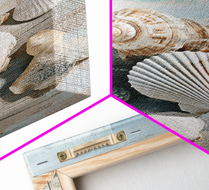 Seashell Collection Painted Like Natural Specimens Framed Canvas Print, Beach Art, Wall Art, Coastal Decor, Fine Art, Shore, BEA-2x3-60