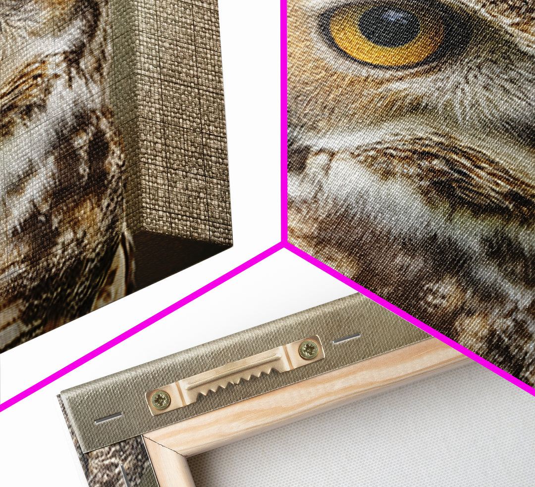 Owl Portrait with Wise Golden Eyes Framed Canvas Print, Bird Art, Fine Art Print, Living Room Decor, Fine Art, Flight, BIR-1x1-53