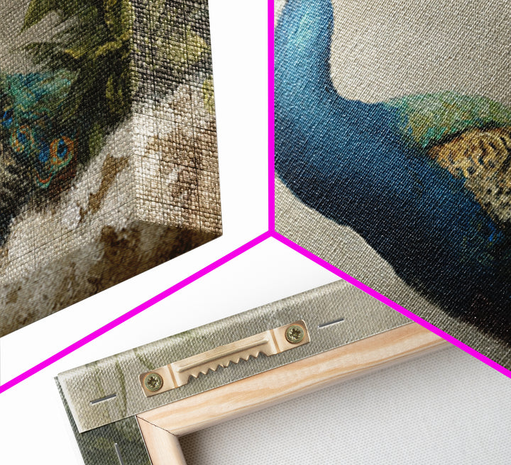 Peacock with Jewel Tone Feather Pattern Framed Canvas Print, Bird Art, Nature Wall Art, Living Room Decor, Fine Art, Flight, BIR-3x2-35