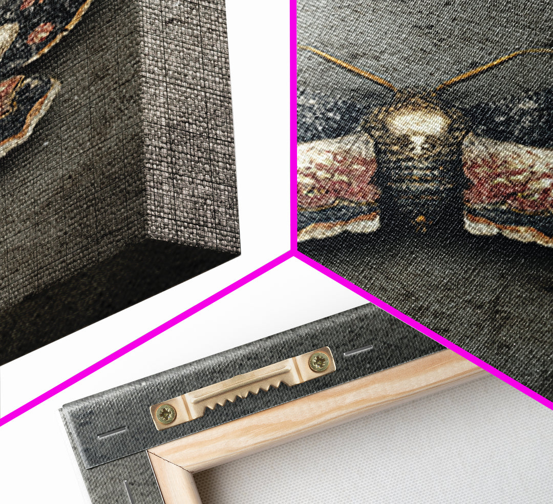 Moth with Skull Pattern on Black Ground Canvas Print, Dark Art, Gothic Wall Art, Living Room Decor, Fine Art, Nocturne, DAR-2x3-71