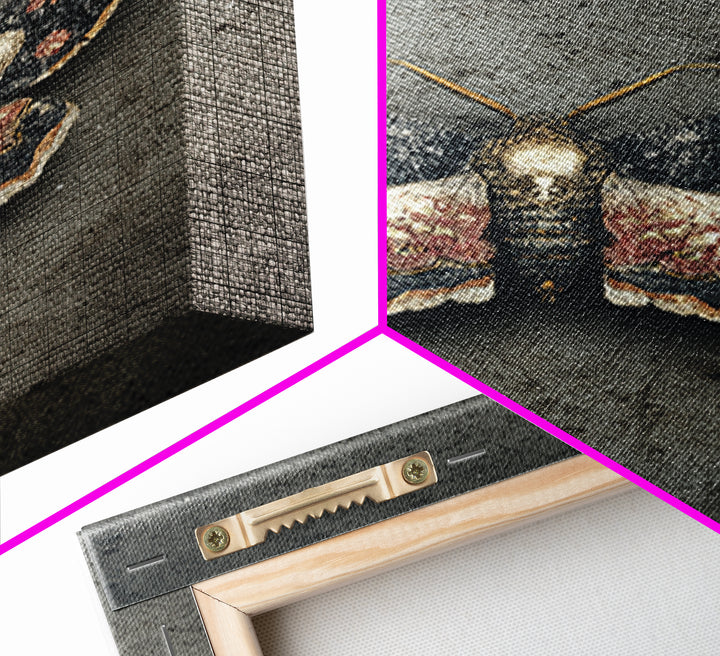 Moth with Skull Pattern on Black Ground Canvas Print, Dark Art, Gothic Wall Art, Living Room Decor, Fine Art, Nocturne, DAR-2x3-71