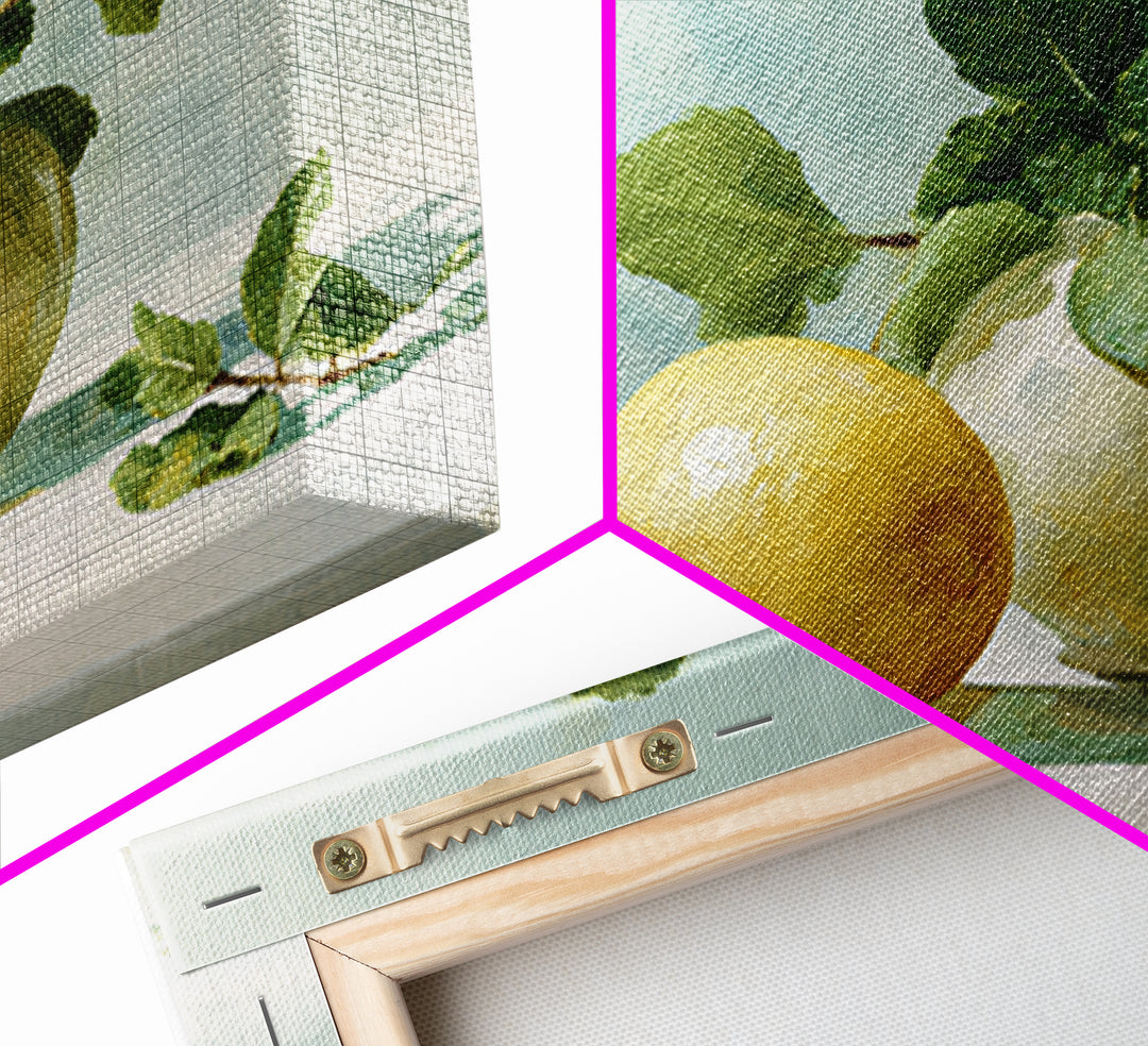 Fresh Citrus and Mint Still Life Framed Canvas Print, Dental Office Art, Office Decor, Calm, Medical Art, Medical Office Decor, DOA-3x2-35