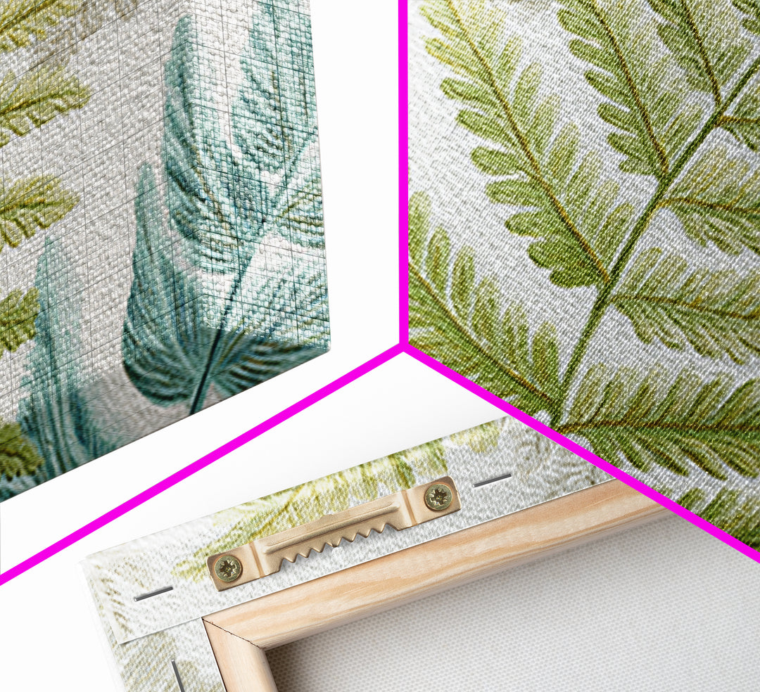 Botanical Fern Study Framed Canvas Print, Dental Office Art, Room Decor, Office Decor, Fine Art, Calm, Minimalist Wall Art, DOA-3x2-71