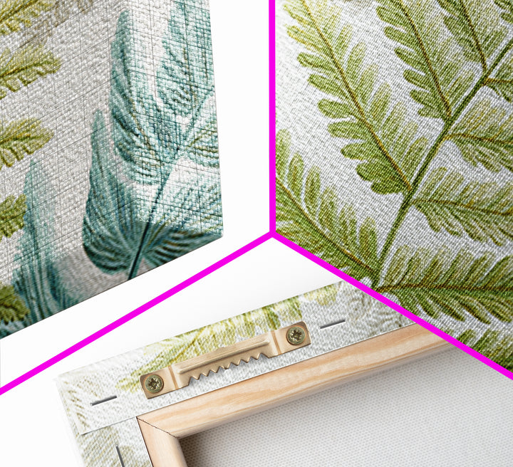 Botanical Fern Study Framed Canvas Print, Dental Office Art, Room Decor, Office Decor, Fine Art, Calm, Minimalist Wall Art, DOA-3x2-71