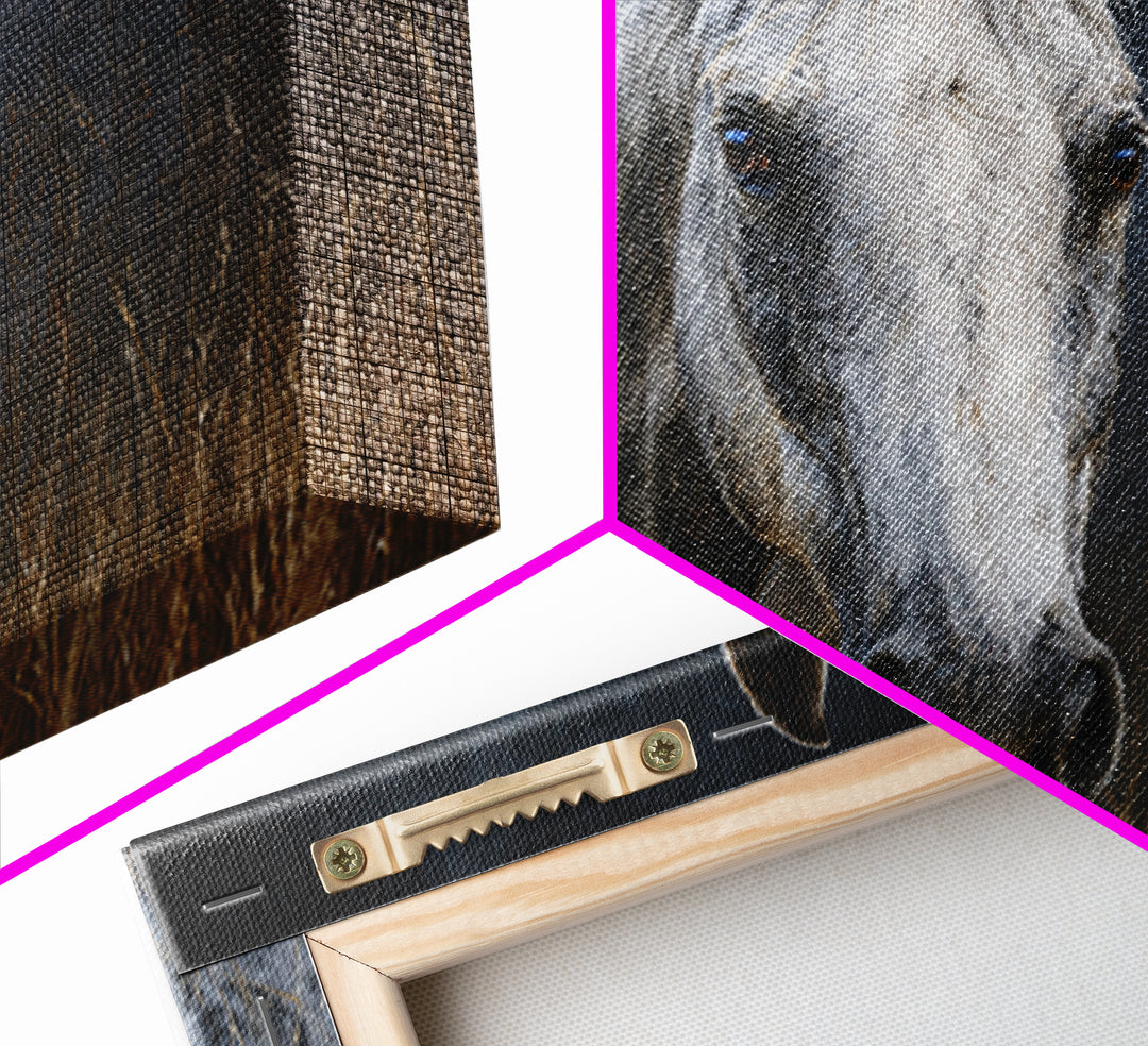 Contemporary Horse Portrait Canvas Print, Living Room Art, New Home Gift, Living Room Decor, Fine Art, Living, Gallery Decor, LIR-3x2-62