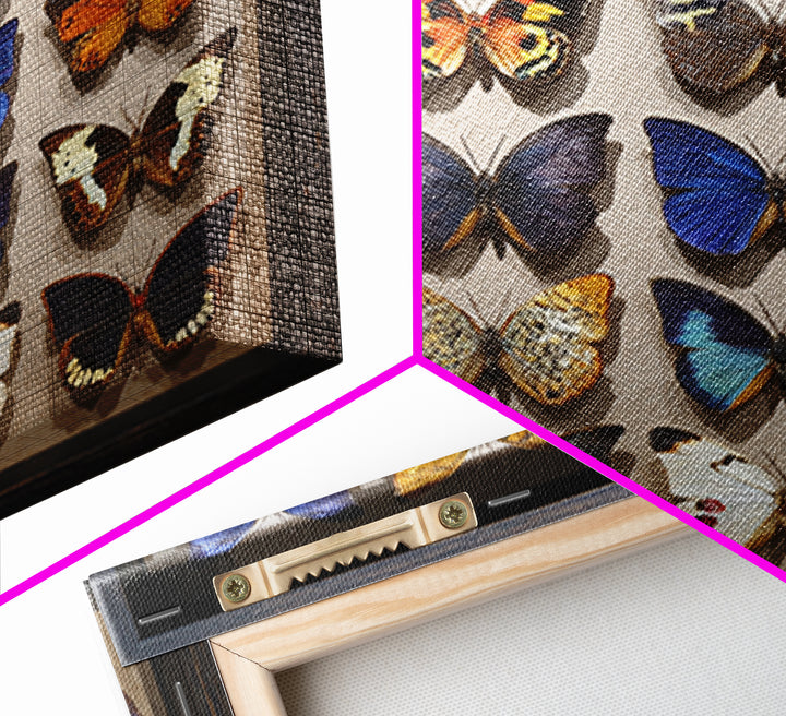 Framed Butterfly Collection Canvas Print, Maximalist Art, Fine Art Print, Living Room Decor, Fine Art, Maximal, Digital Prints, MAX-1x1-95