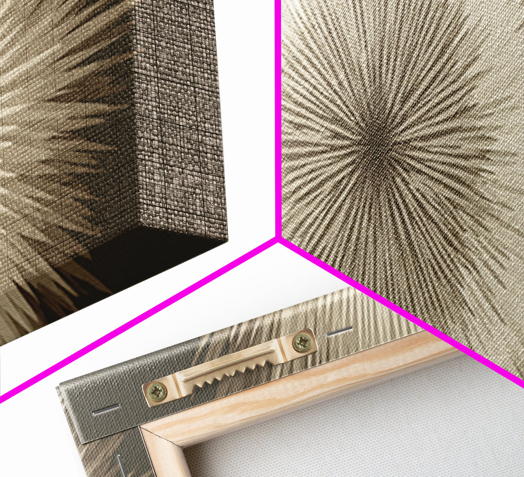 Neutral Radiating Starburst Abstract Wall Art, Minimalist Modern Decor, Geometric Art Print, Beige Midcentury Poster, Statement Wall Decor