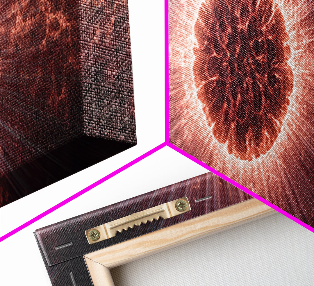 Red Solar Eclipse Corona With Dramatic Rays, Space Abstract Wall Art, Modern Digital Art Print, Cosmic Framed Canvas Print