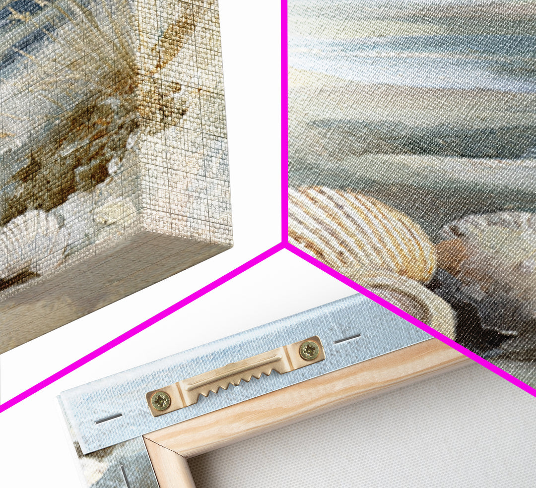Coastal Shells and Water Study Framed Canvas Print, Medical Office Art, Anatomy Art, Office Decor, Calm, Statement Artwork, MOA-1x1-68