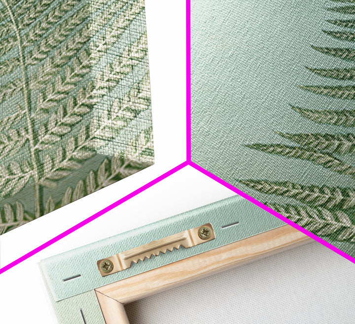 Minimal Green Fern Specimen Framed Canvas Print, Medical Office Art, Modern Decor, Office Decor, Fine Art, Calm, Home Decor, MOA-1x1-80