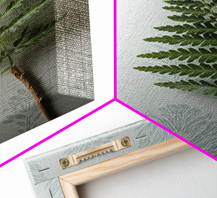 Minimal Green Fern Specimen Canvas Print, Medical Office Art, Fine Art Print, Office Decor, Fine Art, Calm, Wall Decor, MOA-2x3-40