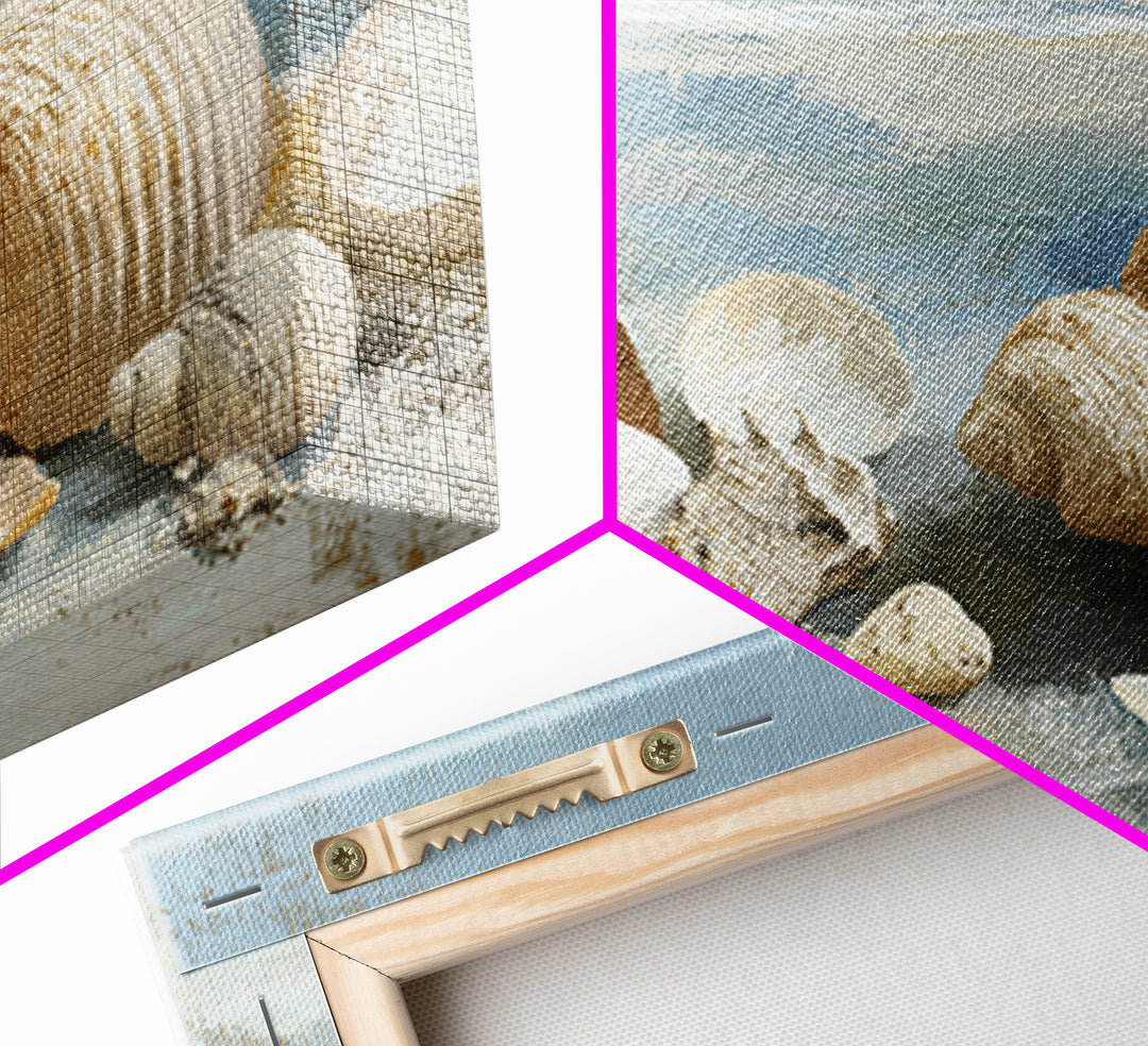 Coastal Shells and Water Study Canvas Print, Medical Office Art, Modern Decor, Office Decor, Fine Art, Calm, Home Decor, MOA-3x2-72