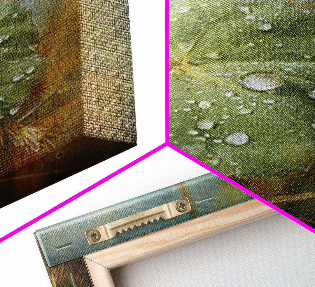 Rain Drops on a Large Green Leaf Framed Canvas Print, Nature Art, Statement Artwork, Living Room Decor, Fine Art, Nature, NAT-1x1-57