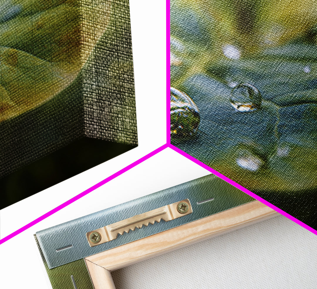 Rain Drops on a Large Green Leaf Canvas Print, Nature Art, Mountain Wall Art, Living Room Decor, Watercolor Art, Nature, NAT-3x2-61