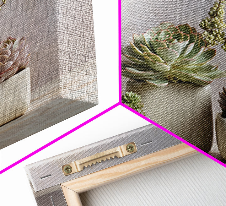 Succulent Collection in Ceramic Planters Framed Canvas Print, Patio Art, Patio Decor, Abstract Art, Outdoor, Gallery Decor, PAT-3x2-25