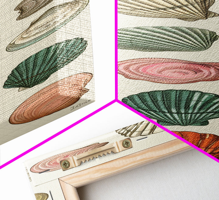 Elegant Sea Shell Collection in Vintage Style on Tall Vertical Canvas Print Perfect for Coastal-Themed Wall Decor