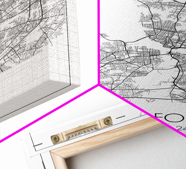 Norfolk Street Map, Virginia Map, City Map Art, Modern Art, Wall Art, Canvas Print, Bedroom Décor, College Student Gift, Travel Print