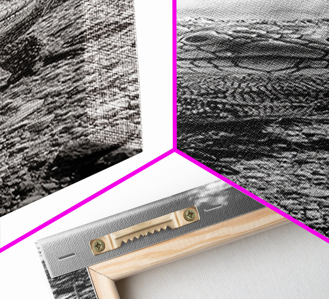 Lizard Close-Up, Framed Canvas Print, wildlife photography, rustic wall art, southwest wall art, desert animal art, black and white home decor