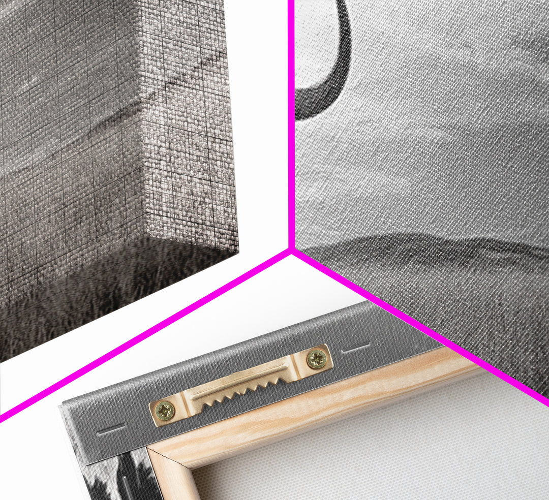 Buffalo Wall Art Canvas Print | Rustic Farmhouse Decor | Western Landscape Art | Moody Wall Art | Extra Wide Art | Nature Lover Gift