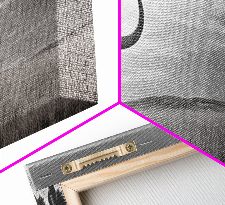 Buffalo Wall Art Canvas Print | Rustic Farmhouse Decor | Western Landscape Art | Moody Wall Art | Extra Wide Art | Nature Lover Gift