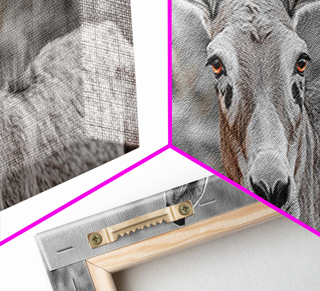 Donkey Close-Up Framed Canvas Print | Rustic Farmhouse Art | Moody Animal Portrait | Southwest Wall Art | Extra Wide Art | Above Couch Decor