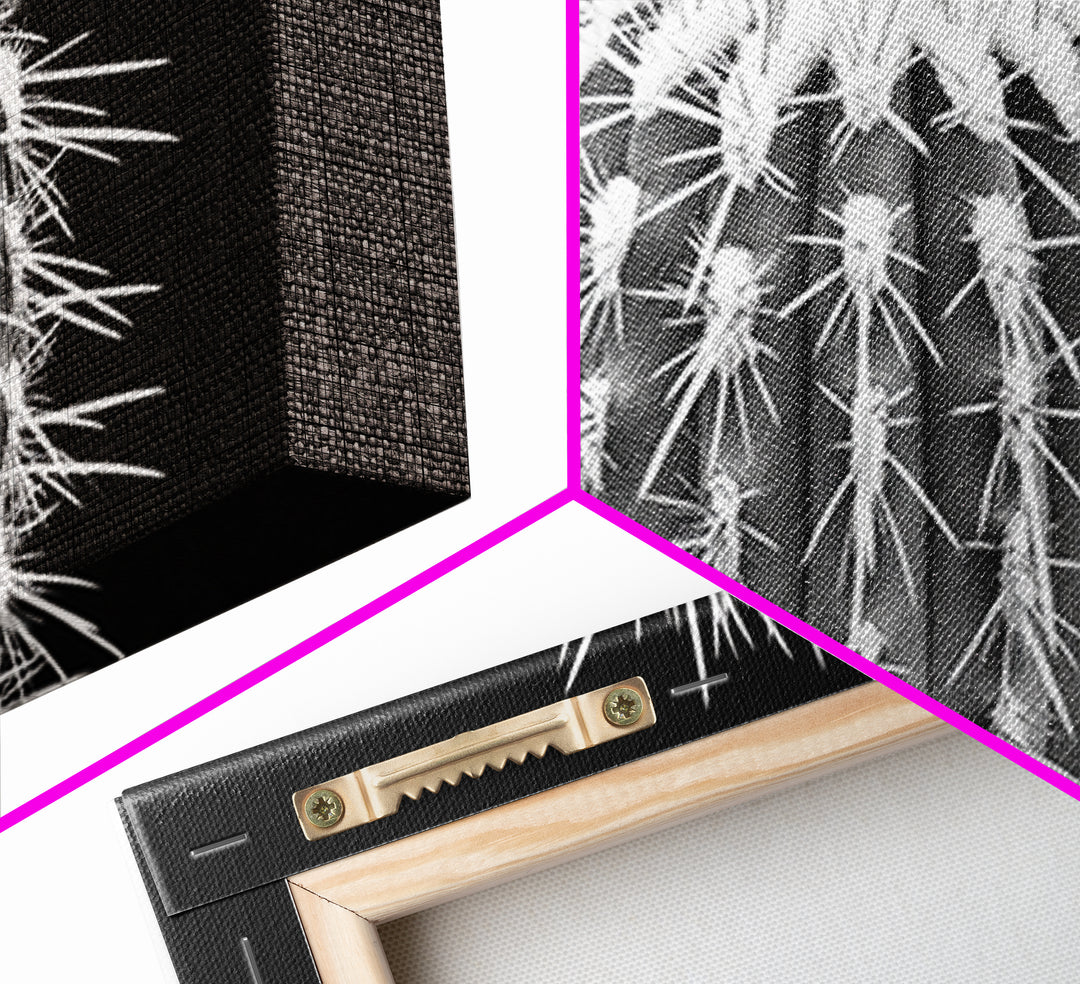 Cactus Spines, southwest wall art, desert art, botanical prints, geometric wall art, nature photography, sharp contrast, Framed Canvas Print