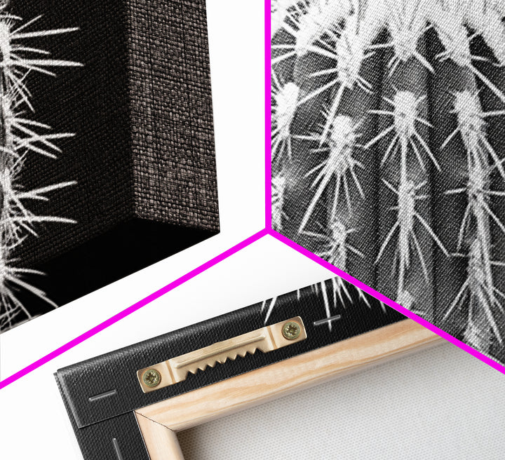 Cactus Spines, southwest wall art, desert art, botanical prints, geometric wall art, nature photography, sharp contrast, Framed Canvas Print