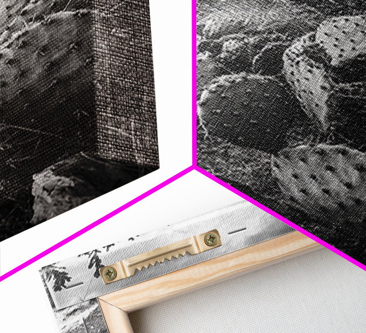 Cactus Trail, southwest wall art, rustic decor, desert painting, wabi sabi art, nature landscape art, framed canvas print, farmhouse decor