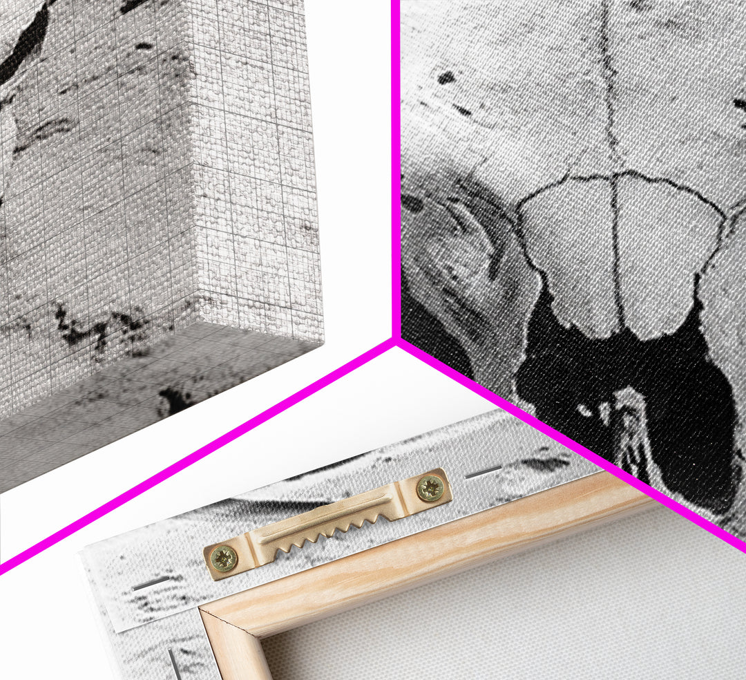 Bull skull, desert aesthetic, cowboy art, rustic decor, black and white photography, boho art, framed canvas print, western wall art