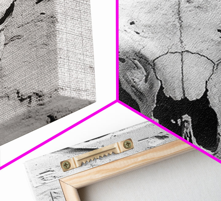 Bull skull, desert aesthetic, cowboy art, rustic decor, black and white photography, boho art, framed canvas print, western wall art