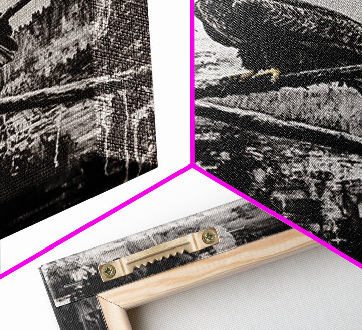 Bald Eagle, majestic bird, black and white, rustic decor, wildlife painting, nature art, framed canvas print, farmhouse wall art