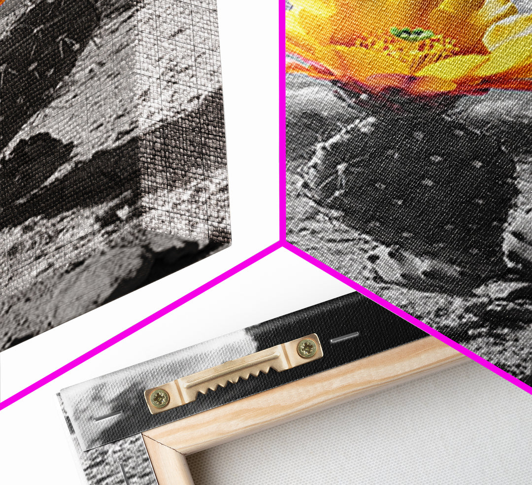 Desert Bloom, Wildflower Painting, Botanical Prints, Rustic Art, Southwest Wall Art, Nature Decor, Framed Canvas Print, Gift Idea