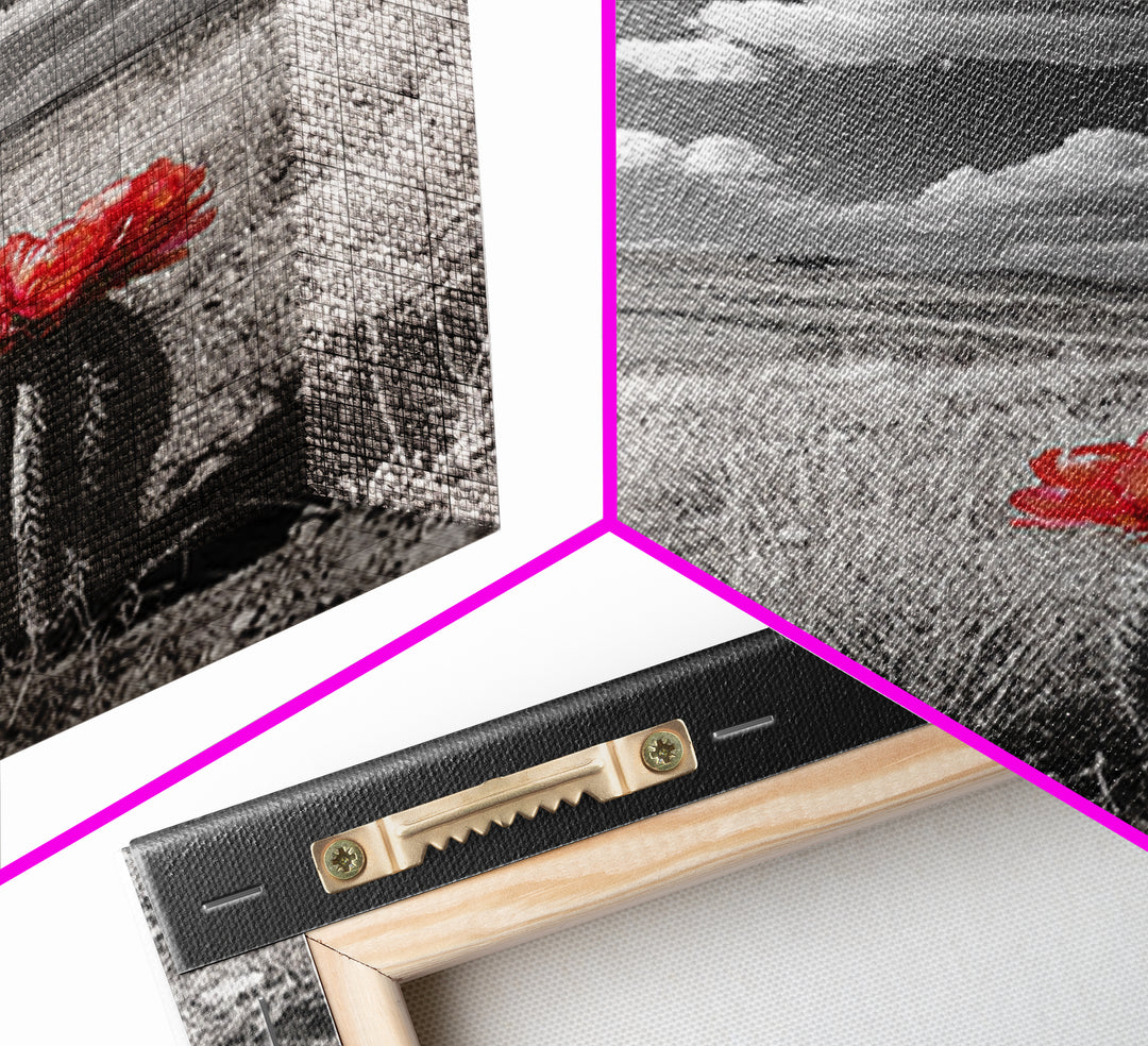 Cactus Bloom, Wildflower Painting, Botanical Prints, Nature Art, Rustic Decor, Southwest Wall Art, Canvas Print, Living Room Art