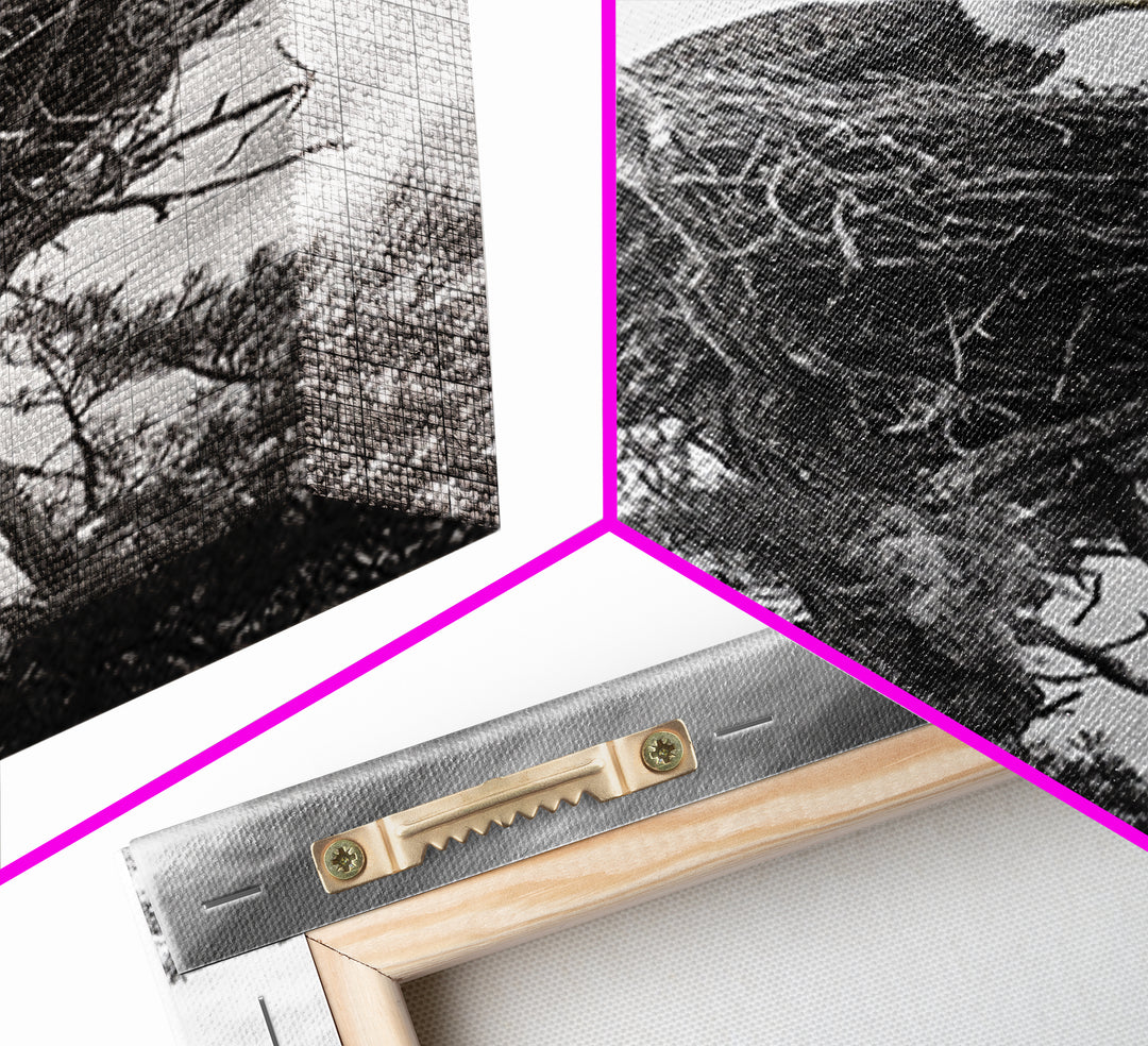 Bald Eagle, bird art, nature photography, moody art, rustic decor, patriotic wall art, black and white, framed canvas print, wildlife art