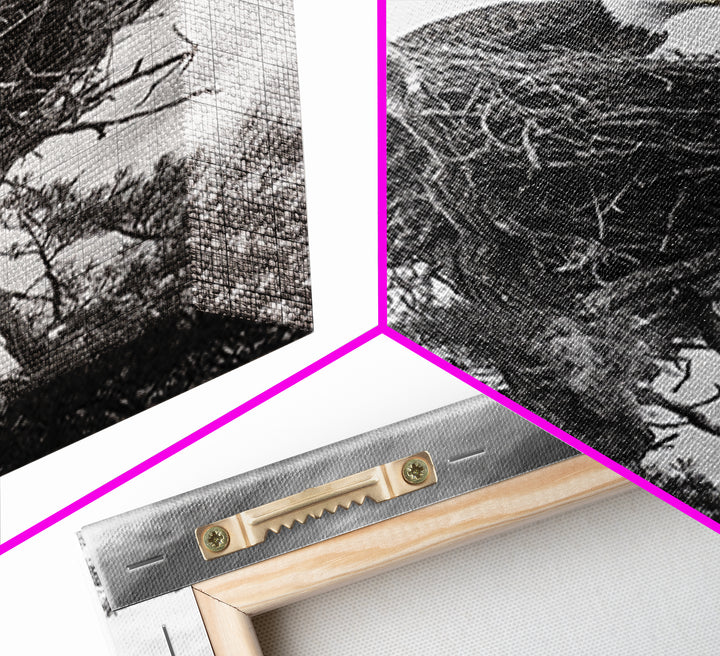 Bald Eagle, bird art, nature photography, moody art, rustic decor, patriotic wall art, black and white, framed canvas print, wildlife art