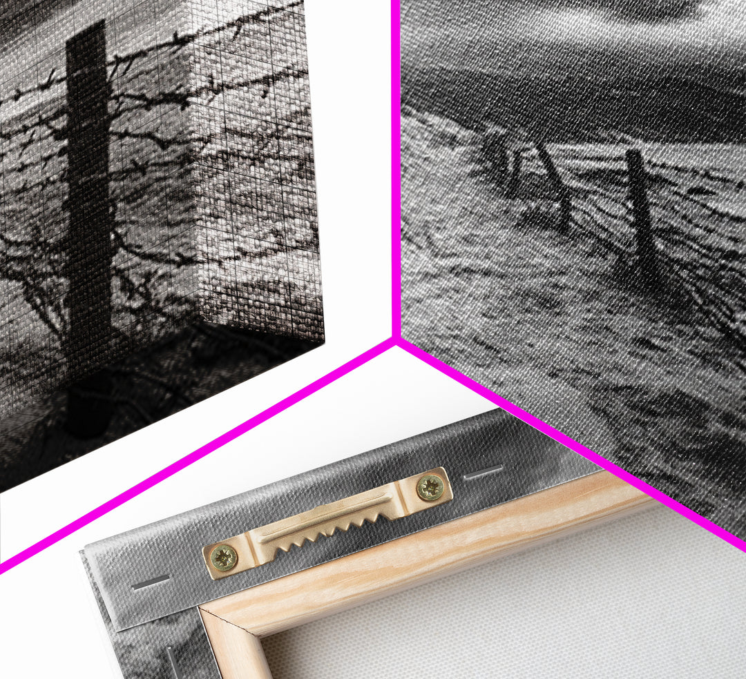 Coastal Path, stormy beach, dramatic sky, coastal wall art, black and white, framed canvas print, moody landscape, nautical decor