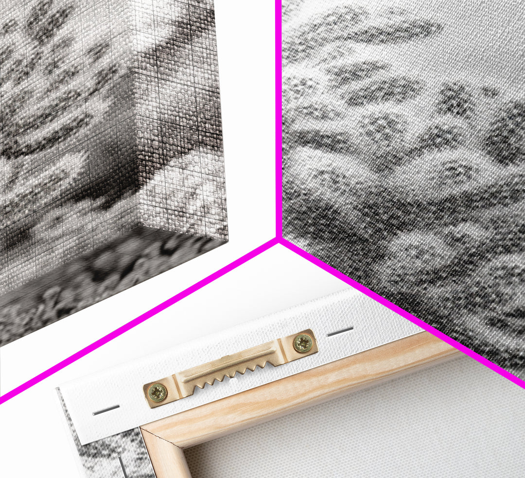 Cactus photography, desert wall art, framed canvas print, Joshua tree art, rustic decor, botanical prints, boho wall art, minimalist art