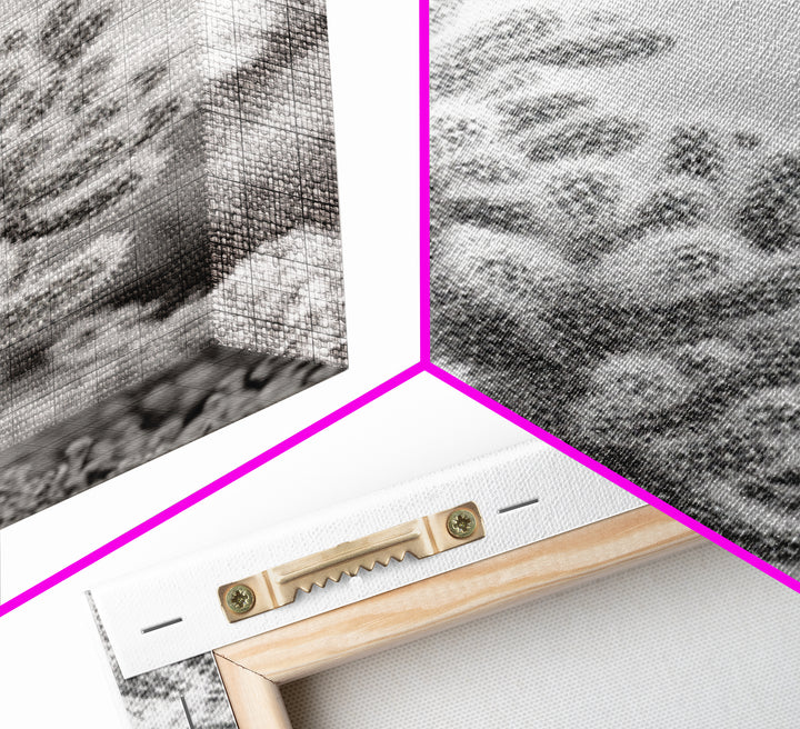 Cactus photography, desert wall art, framed canvas print, Joshua tree art, rustic decor, botanical prints, boho wall art, minimalist art