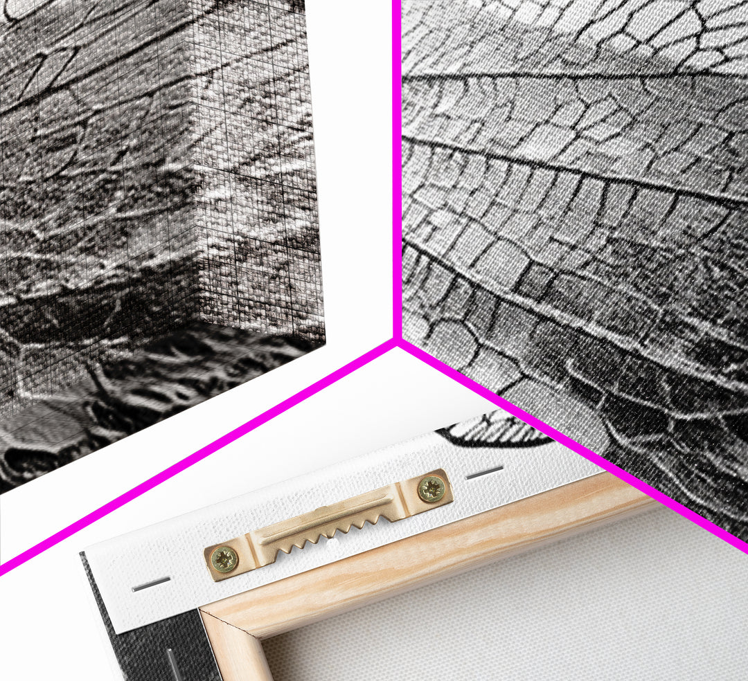 Dragonfly Wing, nature photography, moody art, wabi sabi art, minimalist art, botanical prints, framed canvas print, rustic wall art