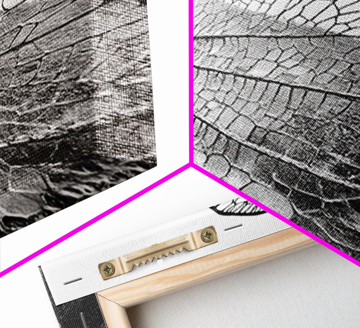 Dragonfly Wing, nature photography, moody art, wabi sabi art, minimalist art, botanical prints, framed canvas print, rustic wall art