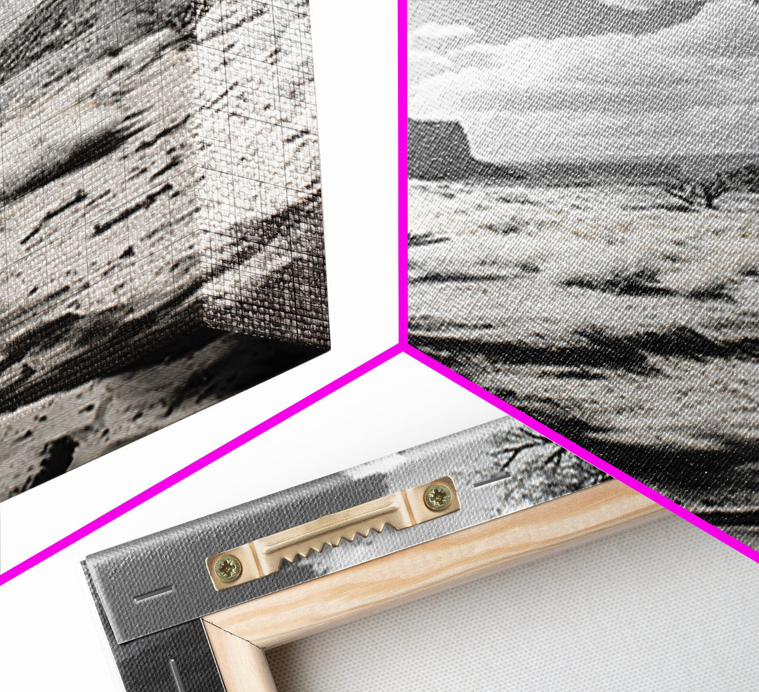 Desert landscape, Joshua tree art, western wall art, framed canvas print, southwest decor, black and white nature, rustic desert scene