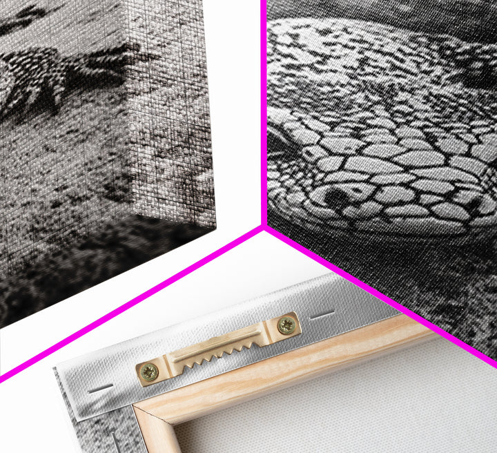 Lizard art, wildlife photography, moody art, desert decor, black and white photography, wabi sabi wall art, framed canvas print, unique gift