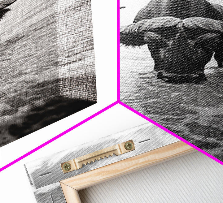 Buffalo art, bull and bear art, moody photography, black and white wall art, unique wildlife art, wabi sabi art, canvas print, farmhouse decor