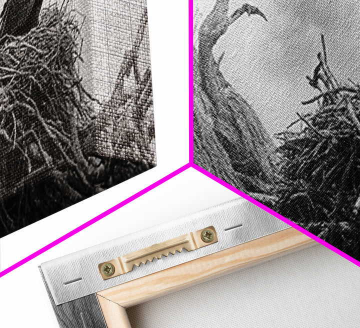 Bald Eagle Nest, Wildlife Art, Nature Photography, Moody Art, Rustic Decor, Horizontal Wall Art, Framed Canvas Print, Bedroom Art