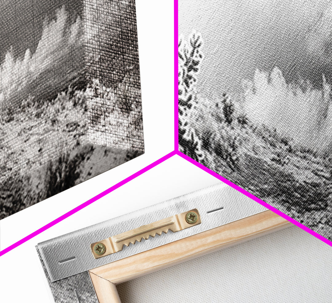 Desert Cactus, Southwest Wall Art, Canvas Print, Joshua Tree Art, Rustic Decor, Extra Wide Art, Moody Black And White Art, Above Sofa Art